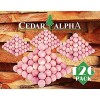 CEDAR ALPHA 120 Pk 0.9 Cedar Balls for Clothes Storage and Drawers Cedar Blocks for Clothes Storage Aromatic Red Cedar for Closets Cedar for Chest W O Chemical Perfume
